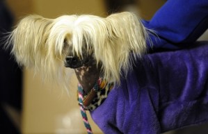 f3b423dbf7d99f72c76db92d93c1b811